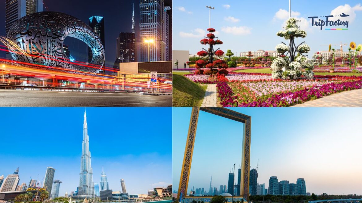 Most Popular Activities in Dubai Most Popular Activities in Dubai