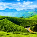 Munnar, Kerala