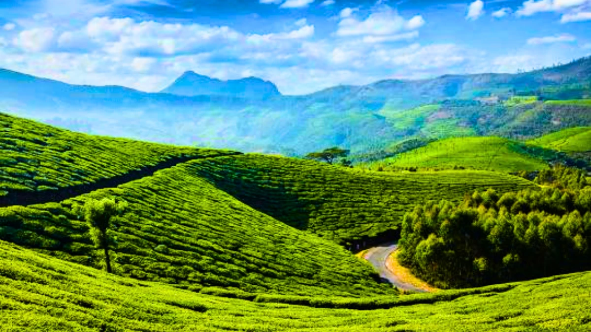 Munnar, Kerala