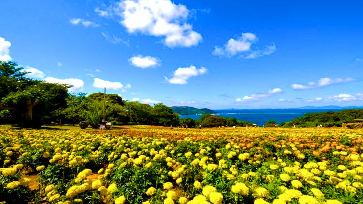 Nokonoshima Island, Fukuoka