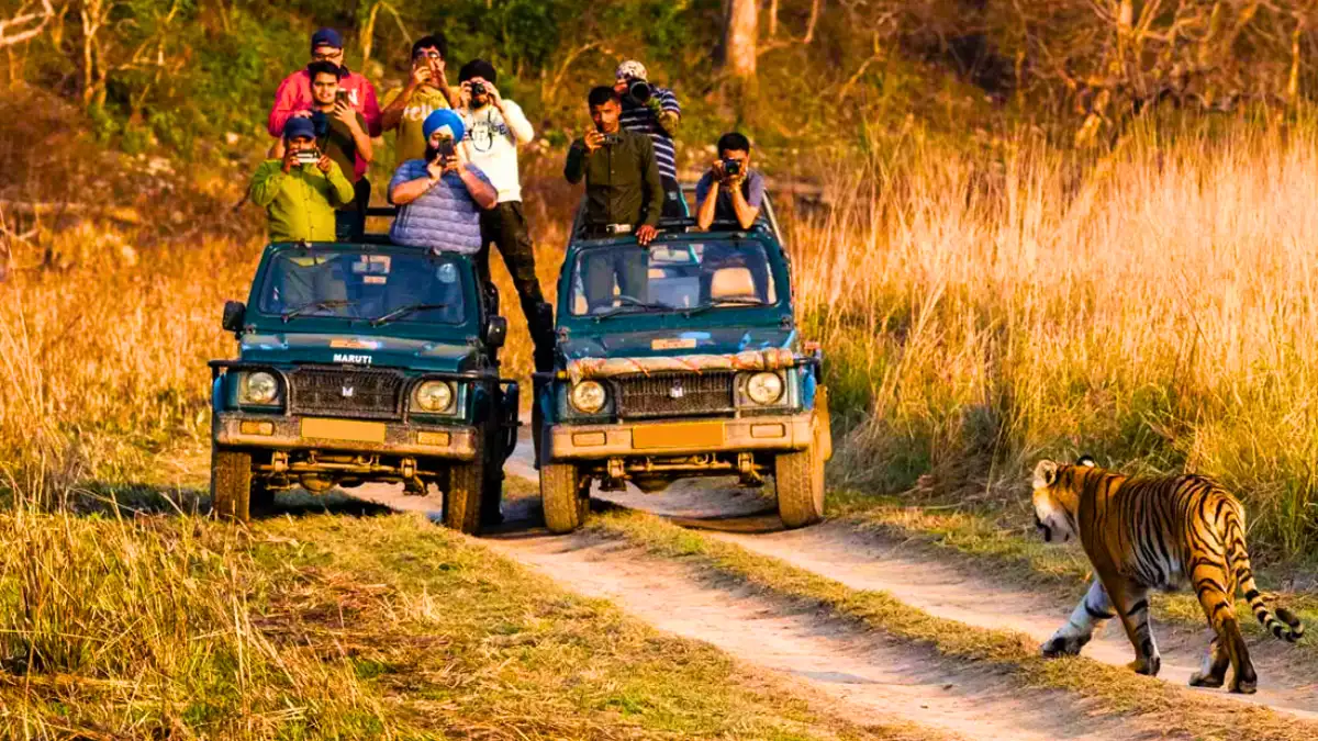 Ranthambore National Park