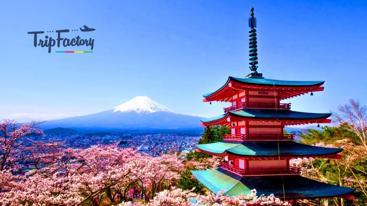 Top 10 Hidden Places in Japan You Must Visit