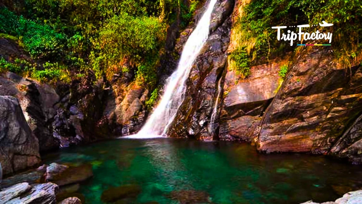 Top 10 Waterfalls to Visit in Himachal Pradesh in 2025 Top 10 Waterfalls to Visit in Himachal Pradesh in 2025