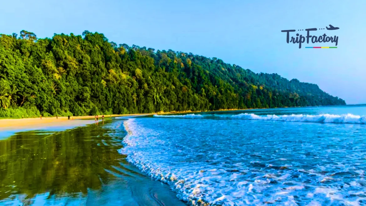 18 Best Places to Visit in Andaman Island in 2025