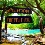 Emerald Pool & Hot Springs