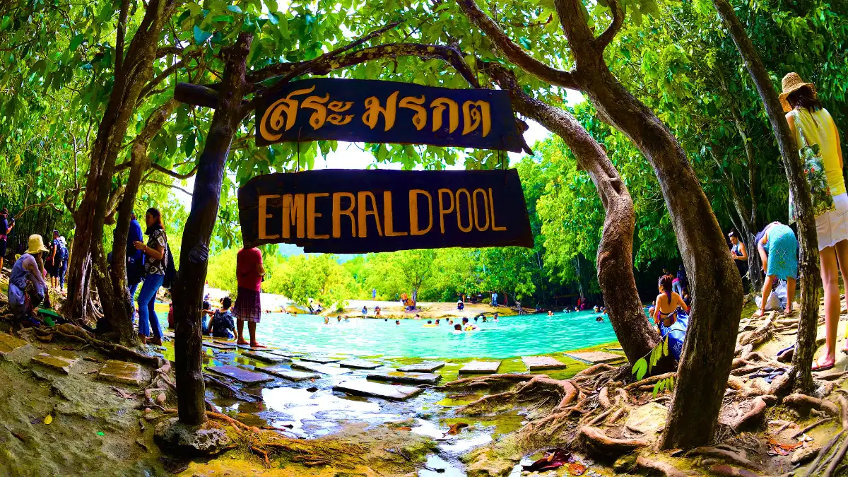 Emerald Pool & Hot Springs