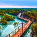 Jubail Mangrove Park