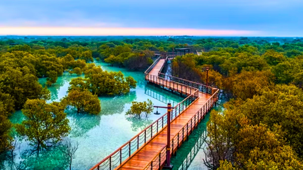  Jubail Mangrove Park