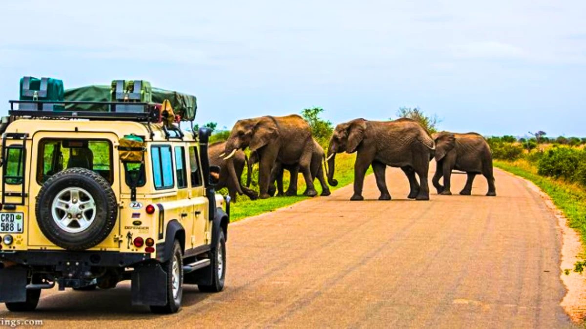 Kruger National Park, South Africa