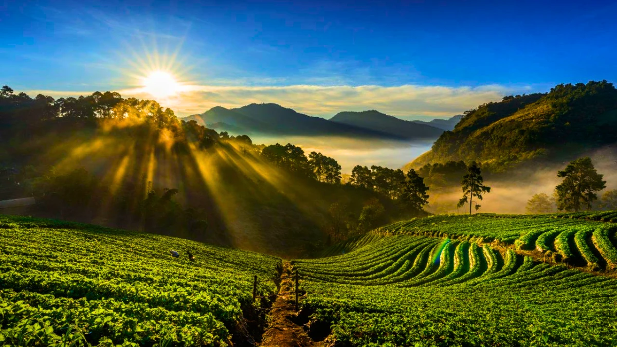 Ooty, Tamil Nadu