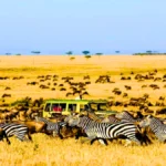 Serengeti National Park, Tanzania