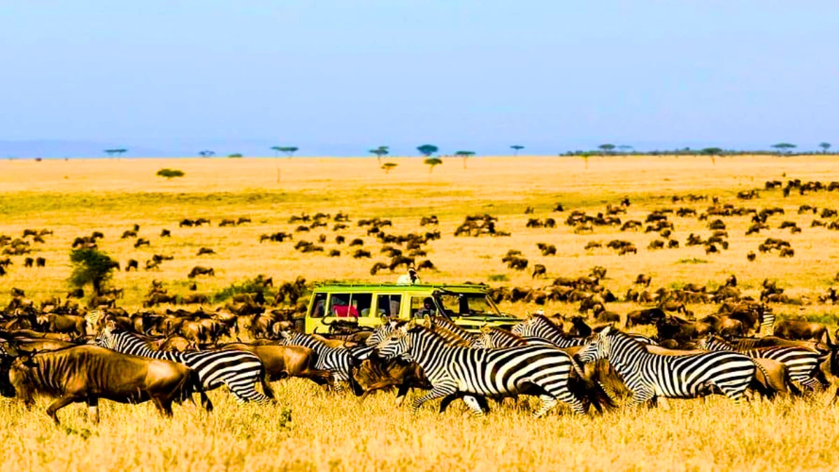 Serengeti, Tanzania