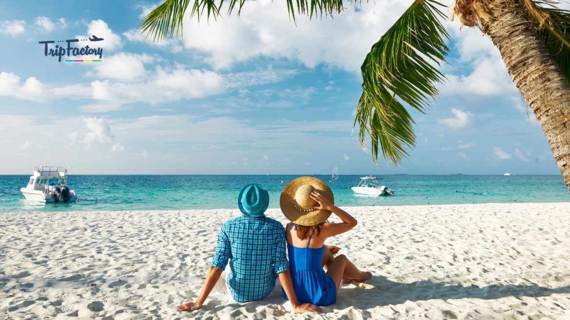 Summer Tourist Places to Visit This Year Summer Tourist Places to Visit This Year