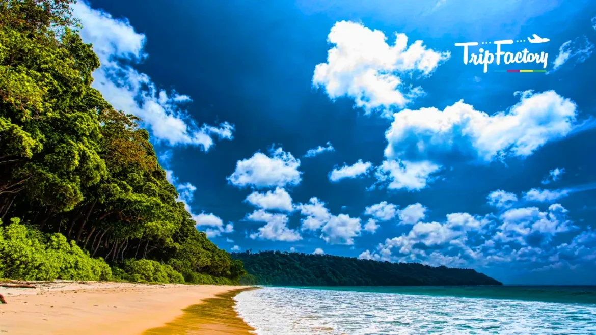 Top 12 Beautiful Islands in India in 2025 Top 12 Beautiful Islands in India in 2025