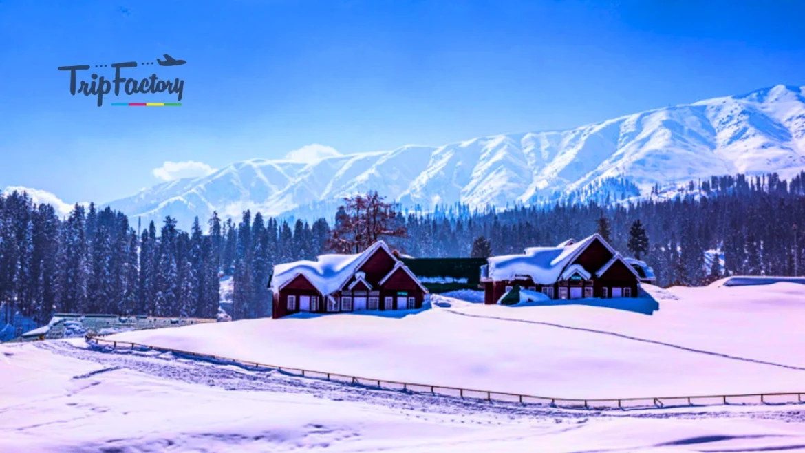 Top 12 Best Places to Find Snowfall in India in March