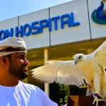 Abu Dhabi Falcon Hospital