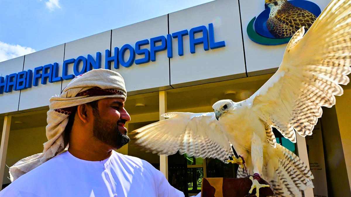 Abu Dhabi Falcon Hospital