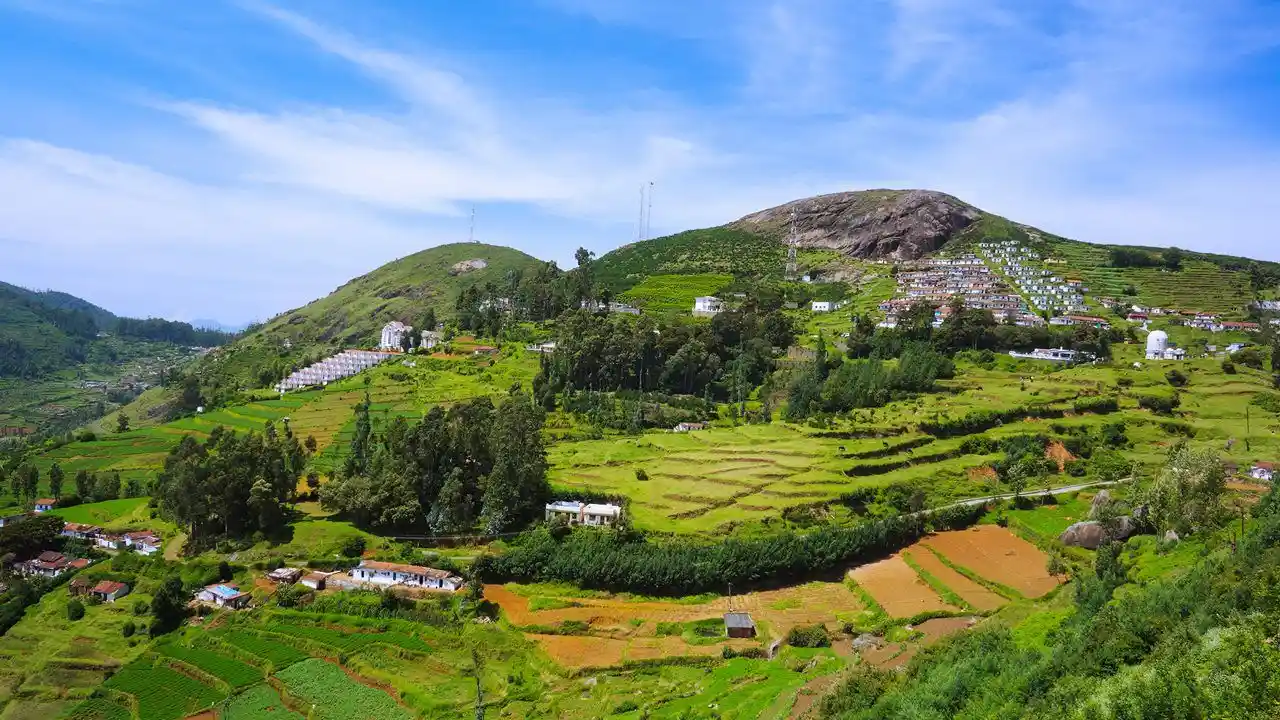 Ooty, Tamil Nadu