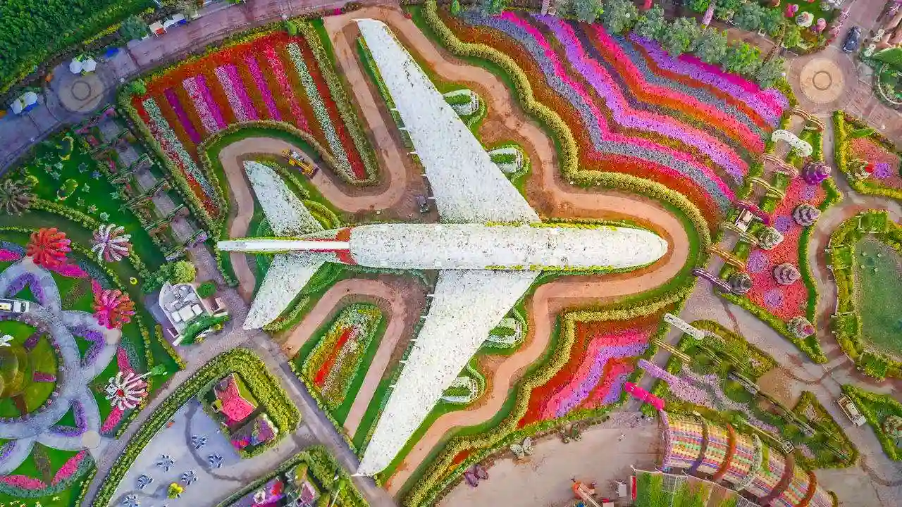 Dubai Miracle Garden Highlights of the 2025 Season