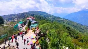 Tashi Viewpoint