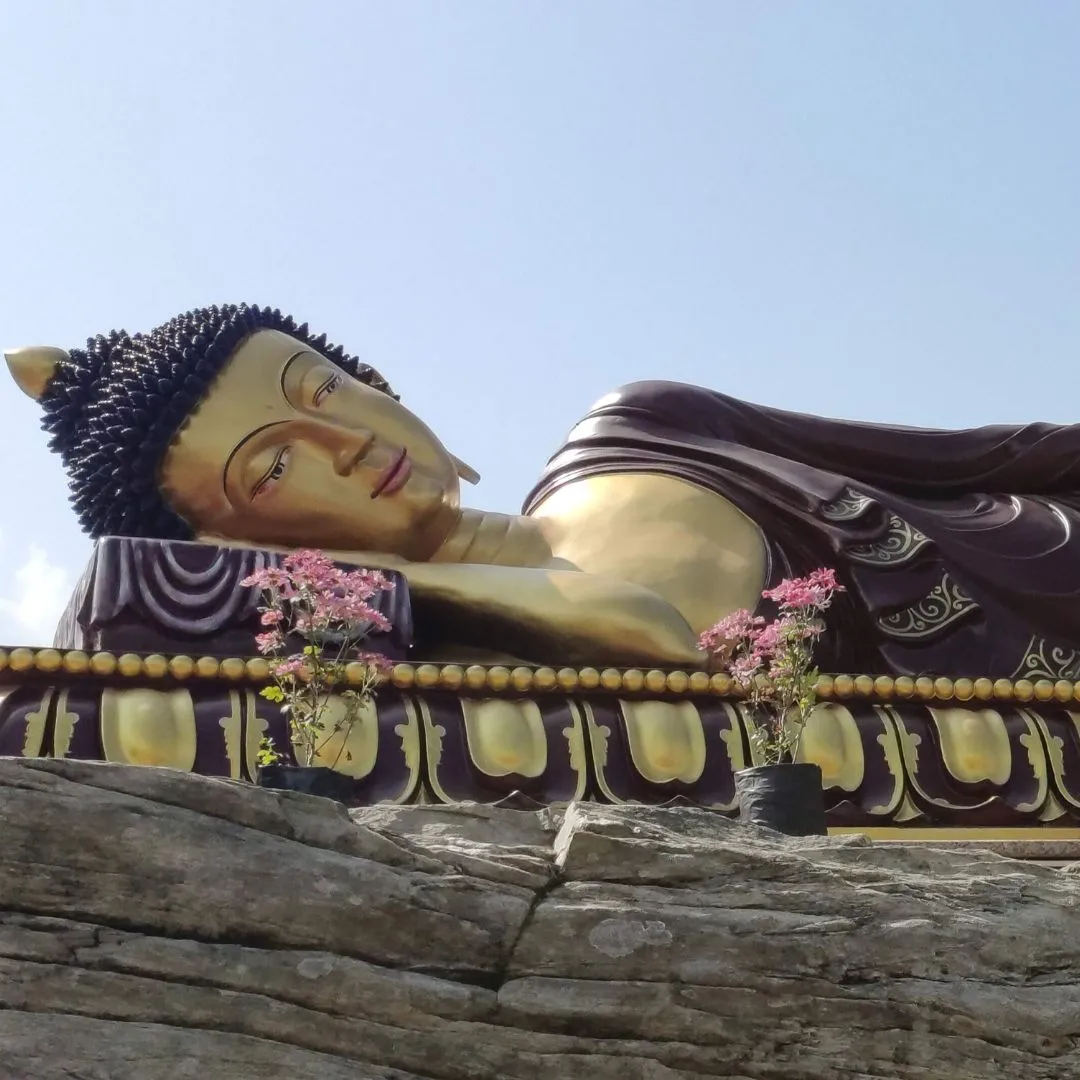 Ravangla Travel Guide : Best Time , Places , Weather, Stay and Travel Tips 5 Buddha Park in Ravangla