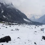 January Destinations in Sikkim