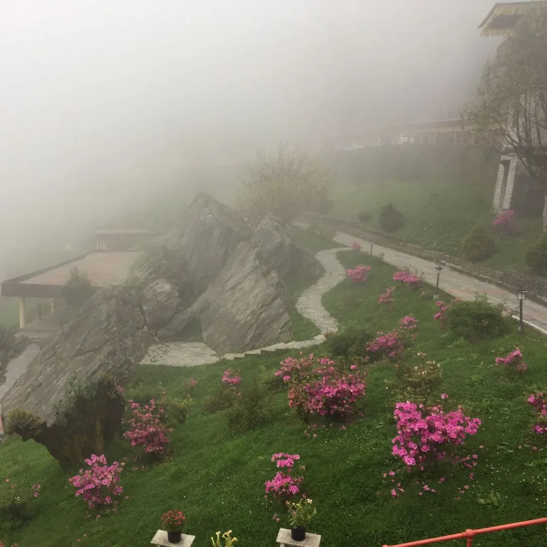 Ravangla Travel Guide : Best Time , Places , Weather, Stay and Travel Tips 7 Outdoor View with flower in Ravnagla