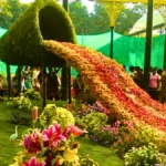 Sikkim Flower Show