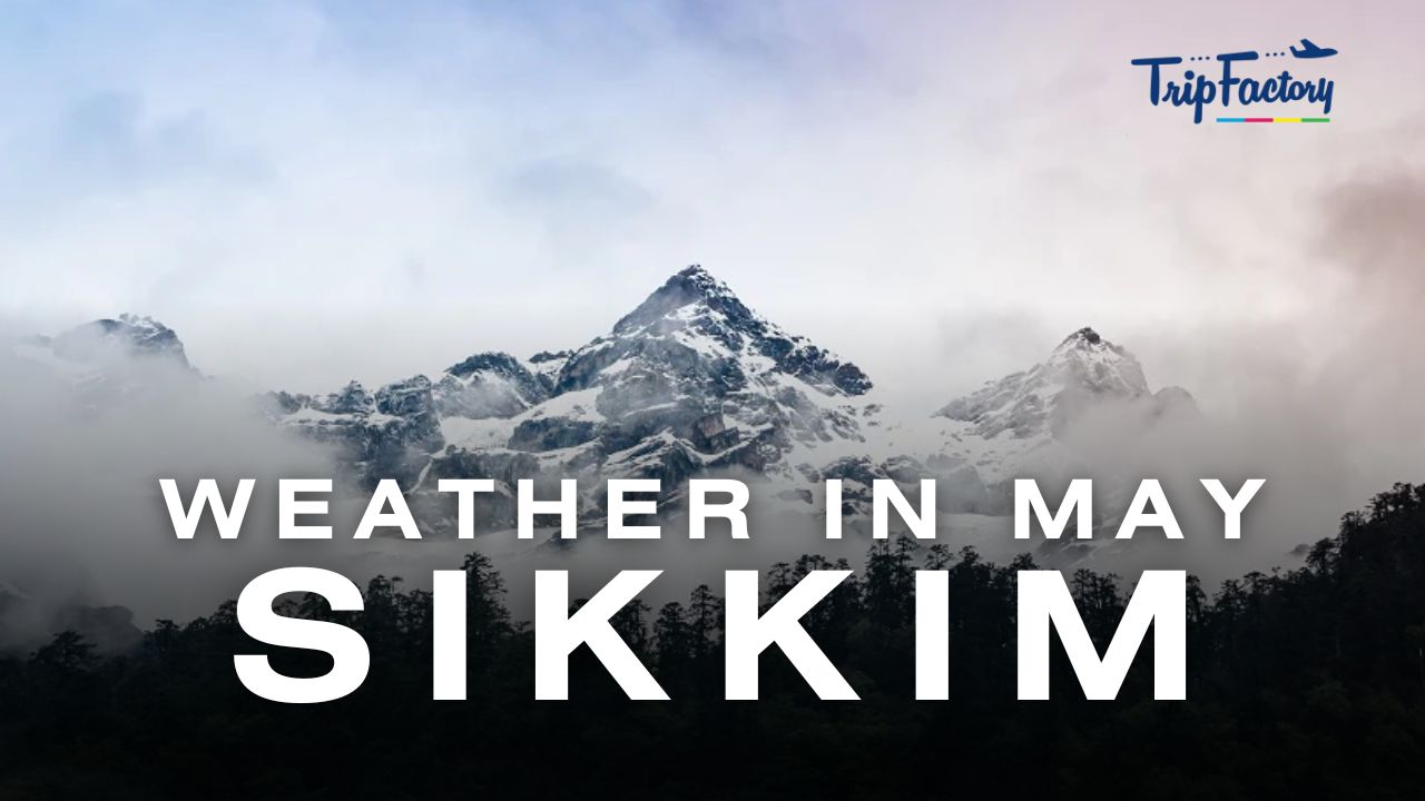 Sikkim Weather in May