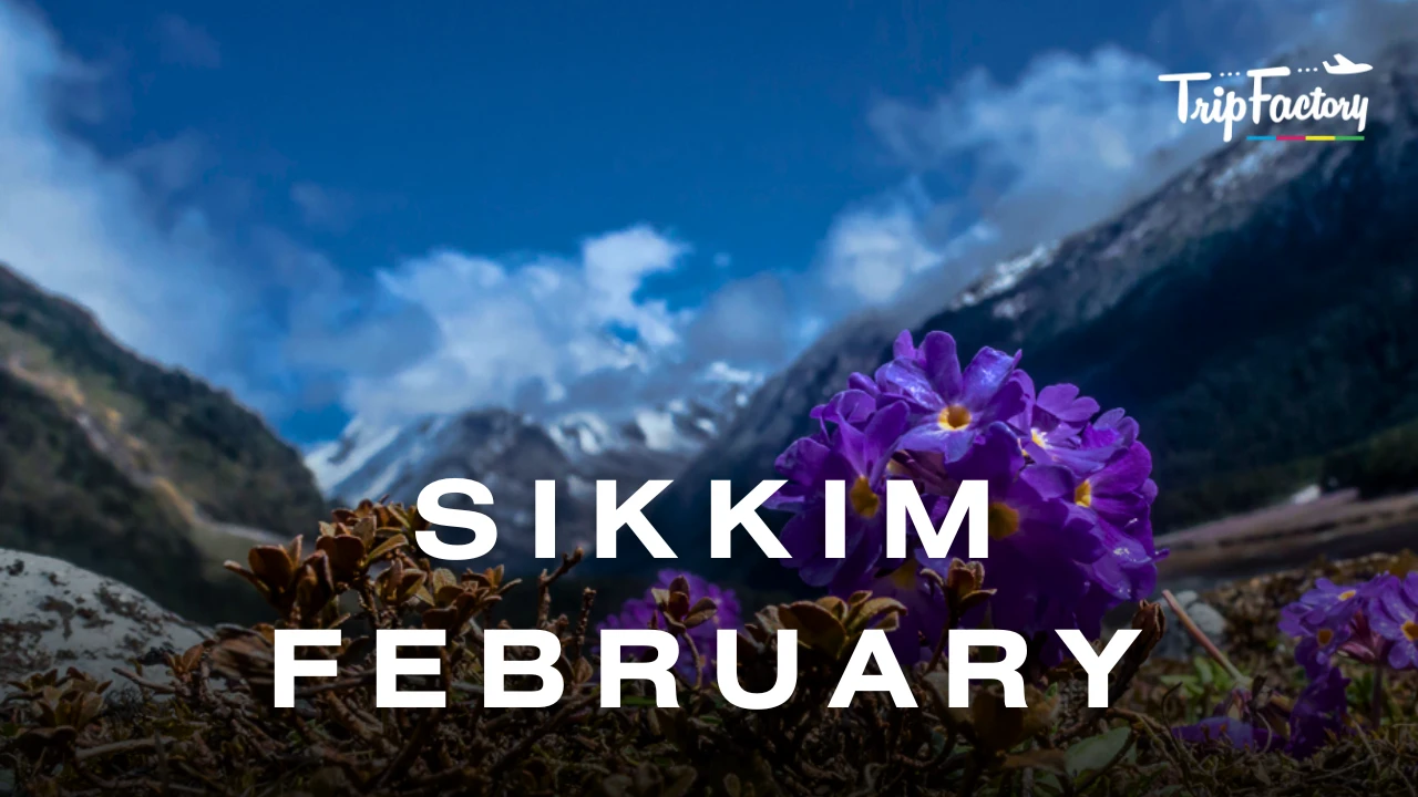 Sikkim in February