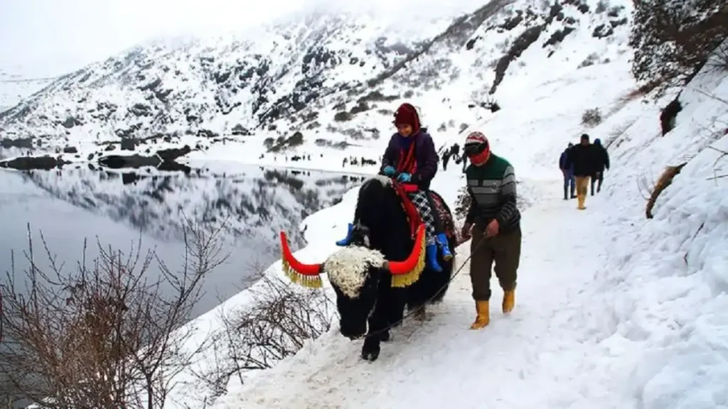 Yak Safari at Changu Lake