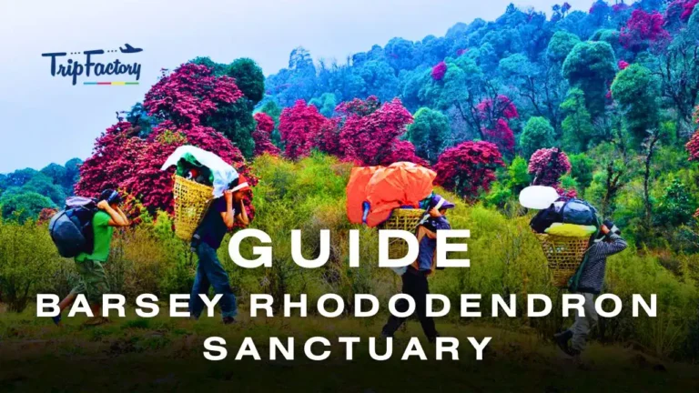 Barsey Rhododendron Sanctuary