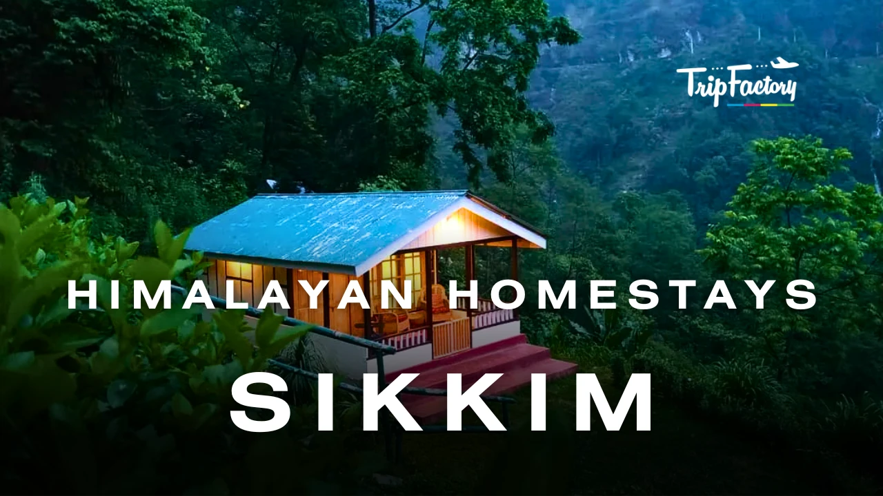 Himalayan Homestays In Sikkim