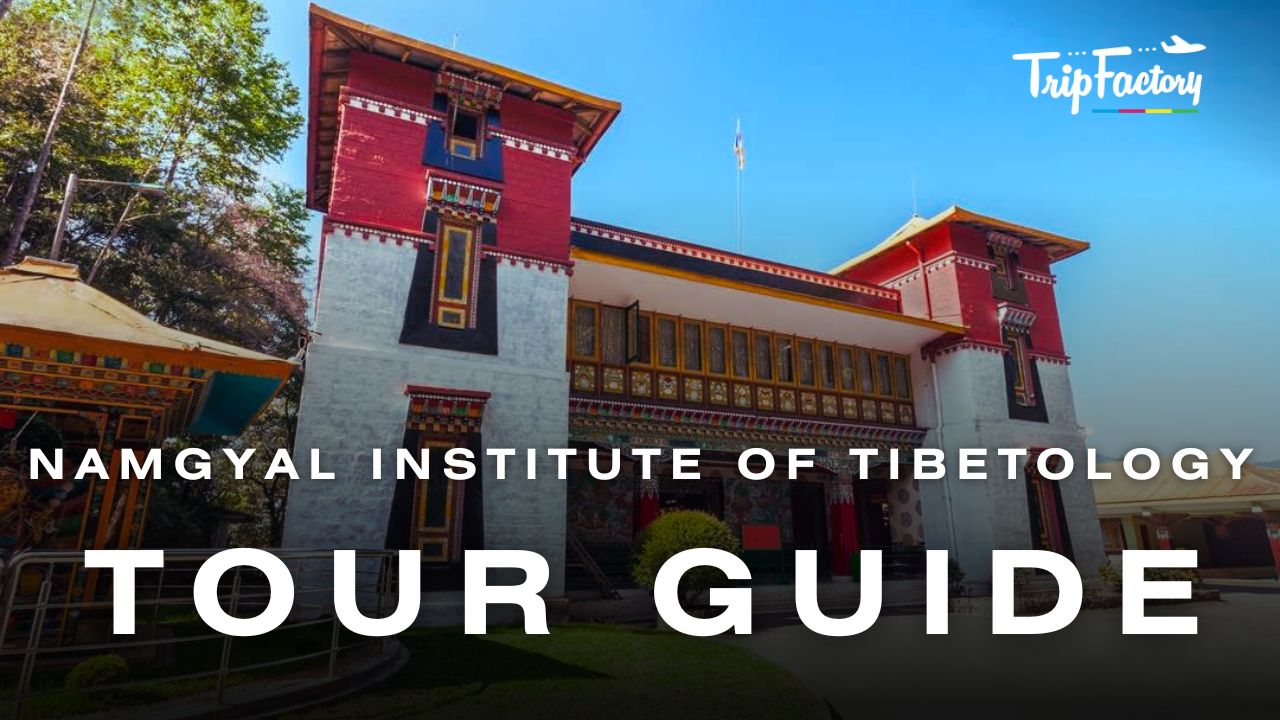 Namgyal Institute of Tibetology Tour Guide