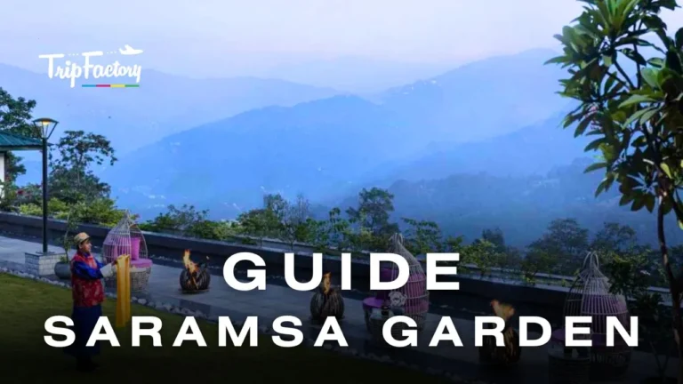 Saramsa Garden Guide