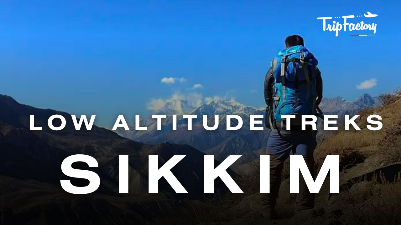 Sikkim Low Altitude Treks