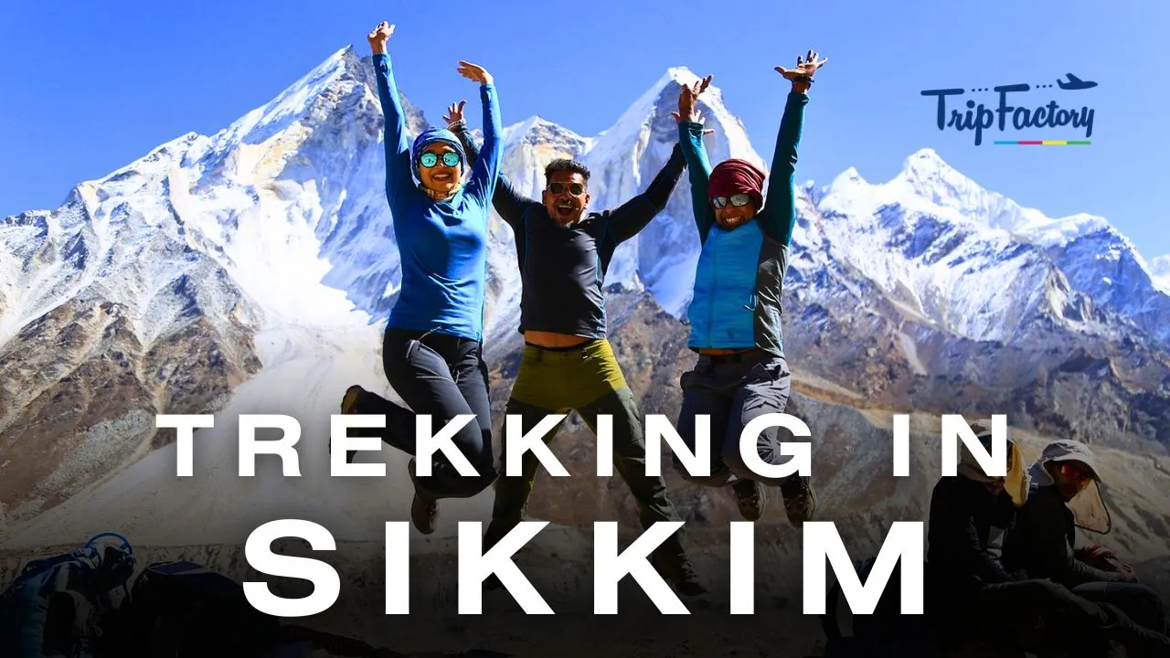 Trekking In Sikkim