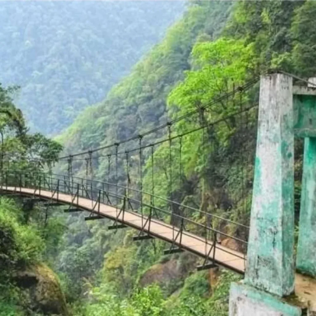 Khangchendzonga National Park Guide: How to Reach , Photos , Wildlife & Tips 9 Khangchendzonga National Park Bridge