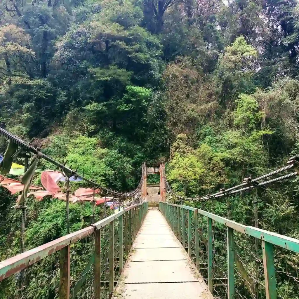 Khangchendzonga National Park Guide: How to Reach , Photos , Wildlife & Tips 3 Khangchendzonga National Park Bridge