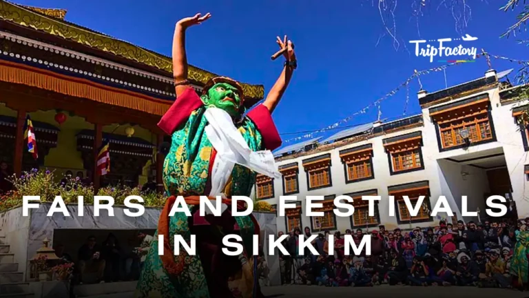 Fairs and Festivals in Sikkim