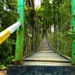 Canopy Walk