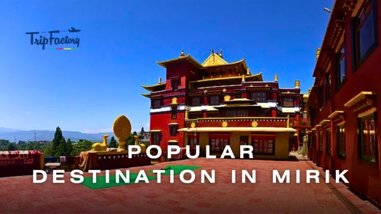 Popular Destinations To Visit in Mirik