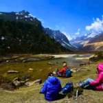 Trekking through Alpine Meadows