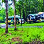 North Bengal Wild Animals Park