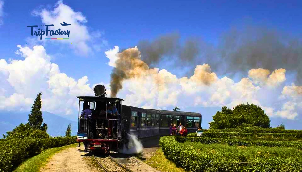 Offbeat places to visit in Darjeeling