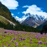 Offbeat places to visit in Lachung