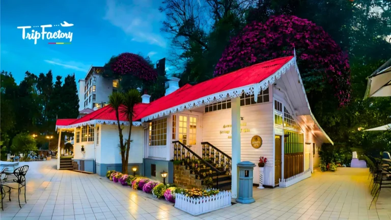 Best Resorts In Darjeeling for a Relaxed Holiday