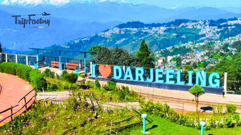 Darjeeling In Summer