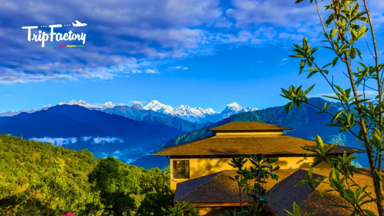 Gangtok Travel Essentials 10 Key Things to Know Before You Visit