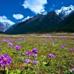 Lachung in Summer